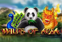 Wilds of Asia slot